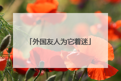 外国友人为它着迷