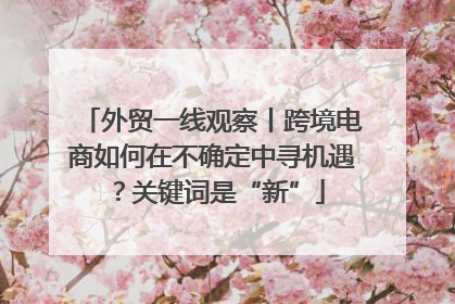 外贸一线观察丨跨境电商如何在不确定中寻机遇？关键词是“新”