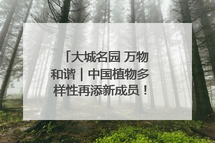 大城名园 万物和谐｜中国植物多样性再添新成员！它只在西藏墨脱