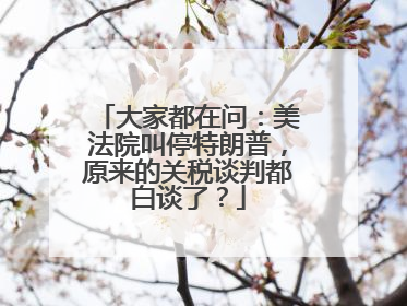 大家都在问：美法院叫停特朗普，原来的关税谈判都白谈了？
