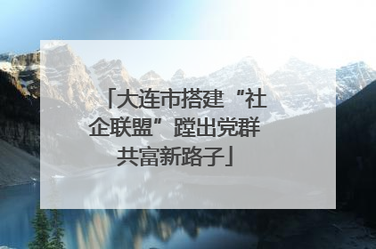 大连市搭建“社企联盟”蹚出党群共富新路子