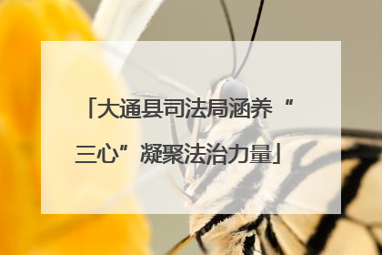大通县司法局涵养“三心”凝聚法治力量