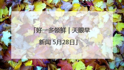 好一多领鲜｜天眼早新闻 5月28日