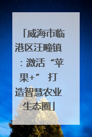 威海市临港区汪疃镇：激活“苹果+” 打造智慧农业生态圈