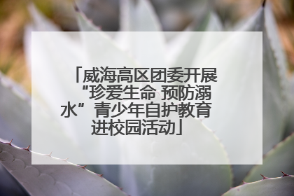 威海高区团委开展“珍爱生命 预防溺水”青少年自护教育进校园活动
