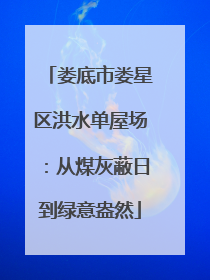 娄底市娄星区洪水单屋场：从煤灰蔽日到绿意盎然