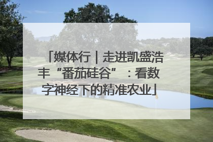 媒体行｜走进凯盛浩丰“番茄硅谷”：看数字神经下的精准农业