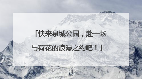 快来泉城公园，赴一场与荷花的浪漫之约吧！