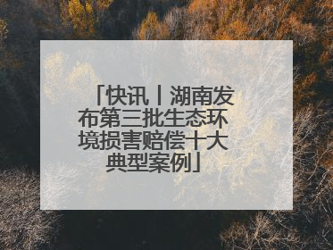 快讯丨湖南发布第三批生态环境损害赔偿十大典型案例