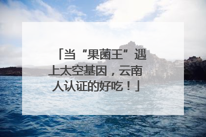 当“果菌王”遇上太空基因，云南人认证的好吃！