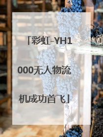 彩虹-YH1000无人物流机成功首飞