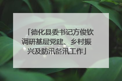德化县委书记方俊钦调研基层党建、乡村振兴及防汛备汛工作