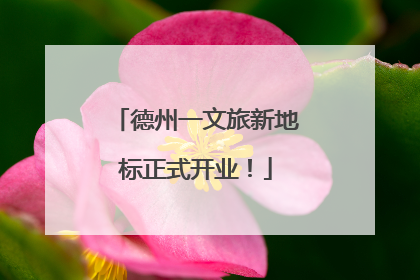 德州一文旅新地标正式开业！