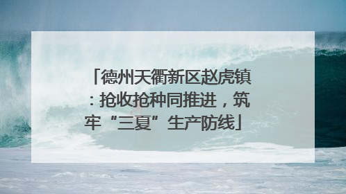 德州天衢新区赵虎镇：抢收抢种同推进，筑牢“三夏”生产防线