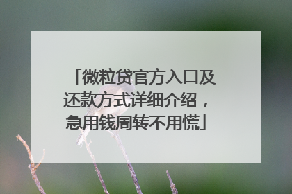 微粒贷官方入口及还款方式详细介绍，急用钱周转不用慌