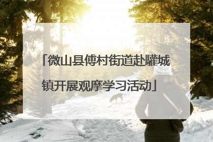 微山县傅村街道赴驩城镇开展观摩学习活动