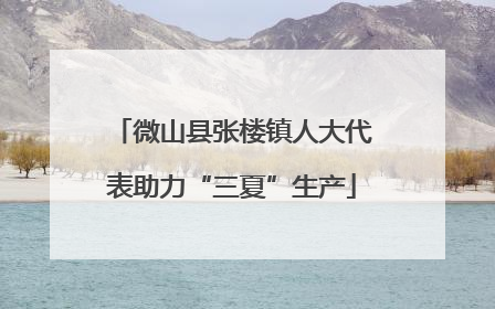 微山县张楼镇人大代表助力“三夏”生产