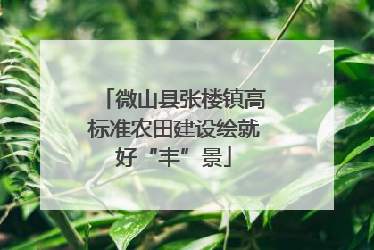 微山县张楼镇高标准农田建设绘就好“丰”景