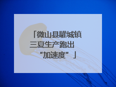 微山县驩城镇三夏生产跑出 “加速度”