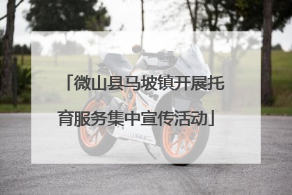 微山县马坡镇开展托育服务集中宣传活动