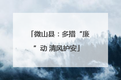 微山县：多措“廉”动 清风护安