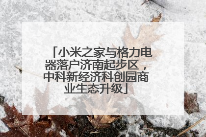 小米之家与格力电器落户济南起步区，中科新经济科创园商业生态升级