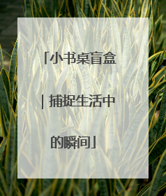 小书桌盲盒｜捕捉生活中的瞬间