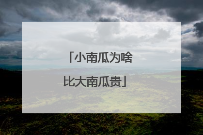 小南瓜为啥比大南瓜贵