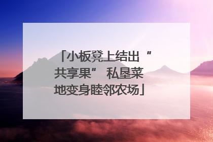 小板凳上结出“共享果” 私垦菜地变身睦邻农场