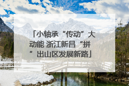 小轴承“传动”大动能 浙江新昌“拼”出山区发展新路
