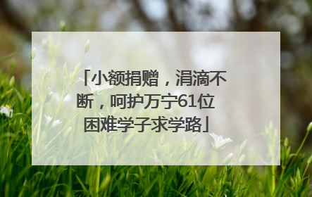 小额捐赠，涓滴不断，呵护万宁61位困难学子求学路