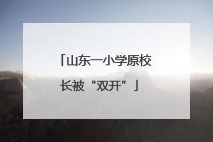 山东一小学原校长被“双开”