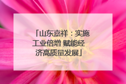 山东嘉祥：实施工业倍增 赋能经济高质量发展