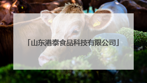 山东港泰食品科技有限公司