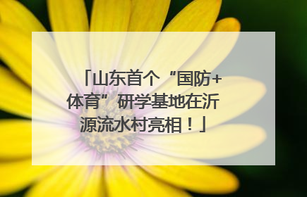 山东首个“国防+体育”研学基地在沂源流水村亮相！