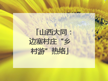 山西大同：边塞村庄“乡村游”热络