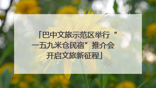 巴中文旅示范区举行“一五九米仓民宿”推介会 开启文旅新征程