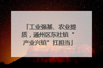 工业强基、农业提质，通州区东社镇“产业兴镇”扛担当