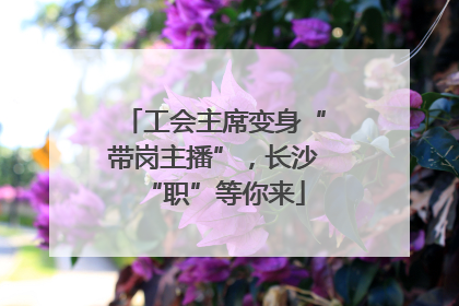 工会主席变身“带岗主播”，长沙“职”等你来