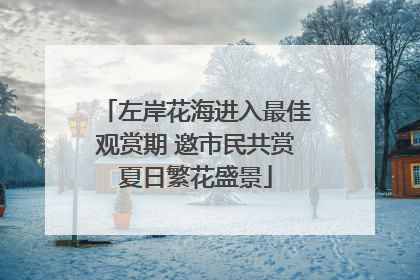 左岸花海进入最佳观赏期 邀市民共赏夏日繁花盛景
