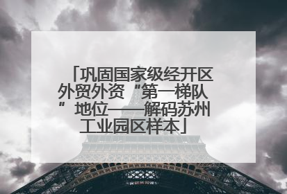 巩固国家级经开区外贸外资“第一梯队”地位——解码苏州工业园区样本