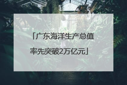 广东海洋生产总值率先突破2万亿元