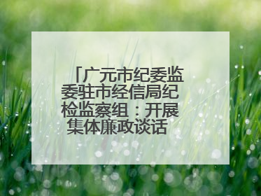 广元市纪委监委驻市经信局纪检监察组：开展集体廉政谈话 敲响廉政警钟