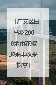 广安区白马乡2000余亩花椒迎来丰收采摘季