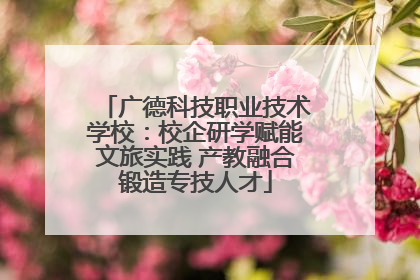 广德科技职业技术学校：校企研学赋能文旅实践 产教融合锻造专技人才