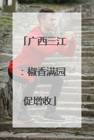 广西三江：椒香满园促增收