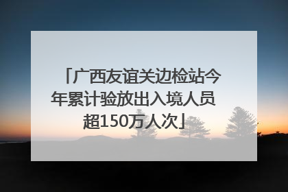 广西友谊关边检站今年累计验放出入境人员超150万人次