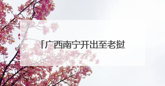 广西南宁开出至老挝万象跨境货物列车
