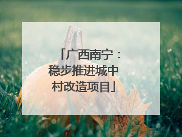 广西南宁：稳步推进城中村改造项目