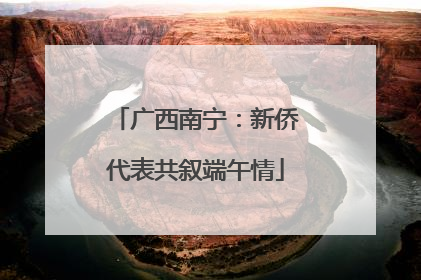 广西南宁：新侨代表共叙端午情